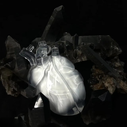 HeartArmor AirPod Tasche
